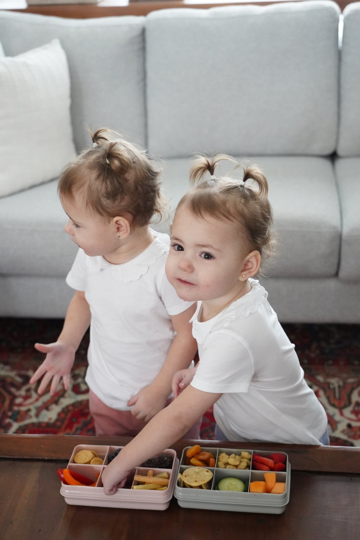 CUTIE SNACK 6 COMPARTIMENTE, MELII, GREY