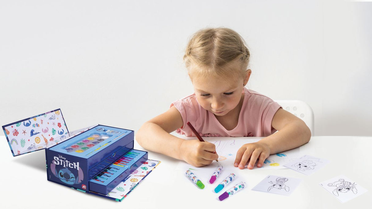 SET DE PICTURA IN VALIZA DE CARTON STITCH