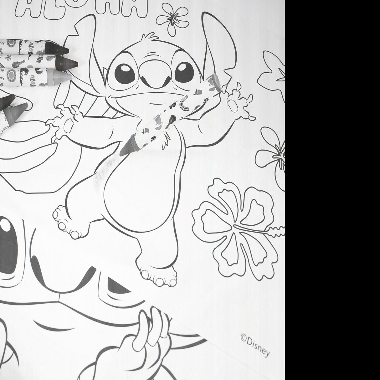 HAPPI HOBBI SET PENTRU PICTURA IN GEANTA TRANSPARENTA STITCH