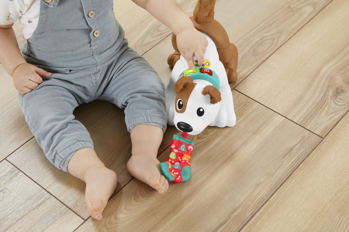 FISHER PRICE CATELUS CRAWL WITH ME