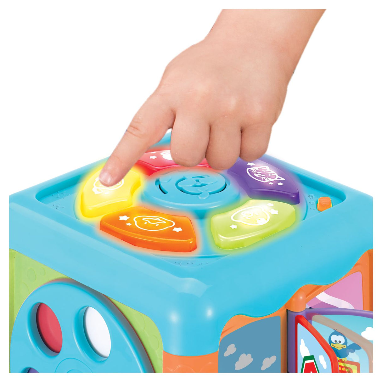 WINFUN CUB EDUCATIV CU ACTIVITATI