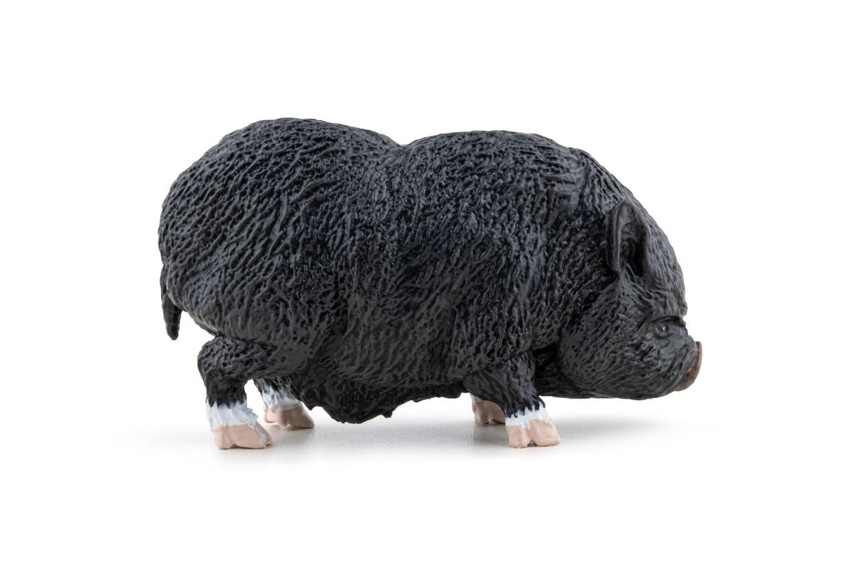 PAPO FIGURINA PORC VIETNAMEZ