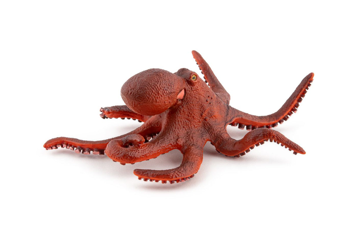 PAPO FIGURINA CARACATITA MICA