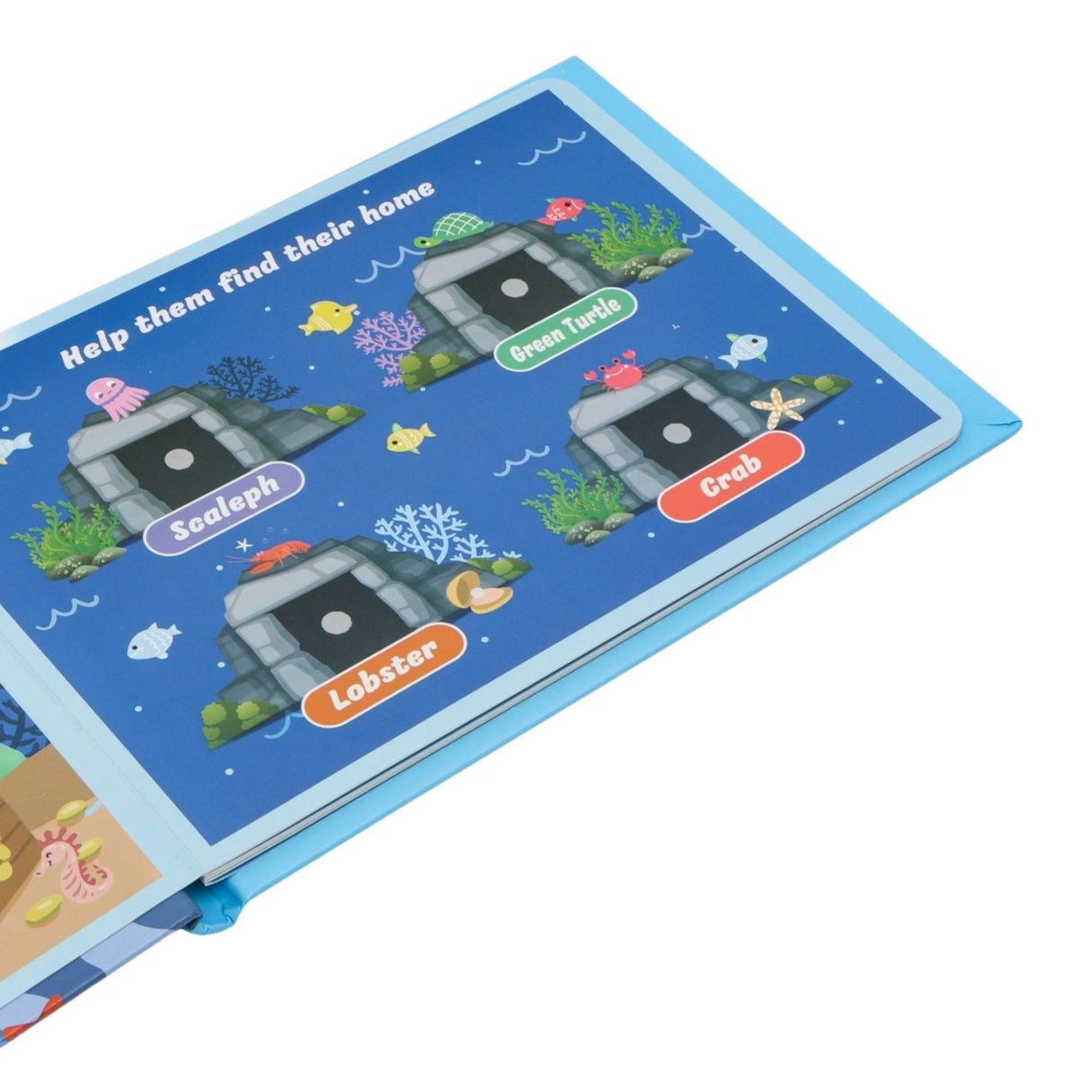 Carte Educativa cu Stickere Reutilizabile, Flippy, Quiet Book Senzoriala cu Pagini Interactive, Joc Montessori, Seria ''Lumea Acvatica'', Dezvolta Motricitatea Fina si Logica, pentru Invatare Timpurie, 3 ani, Multicolor - vivimall.ro