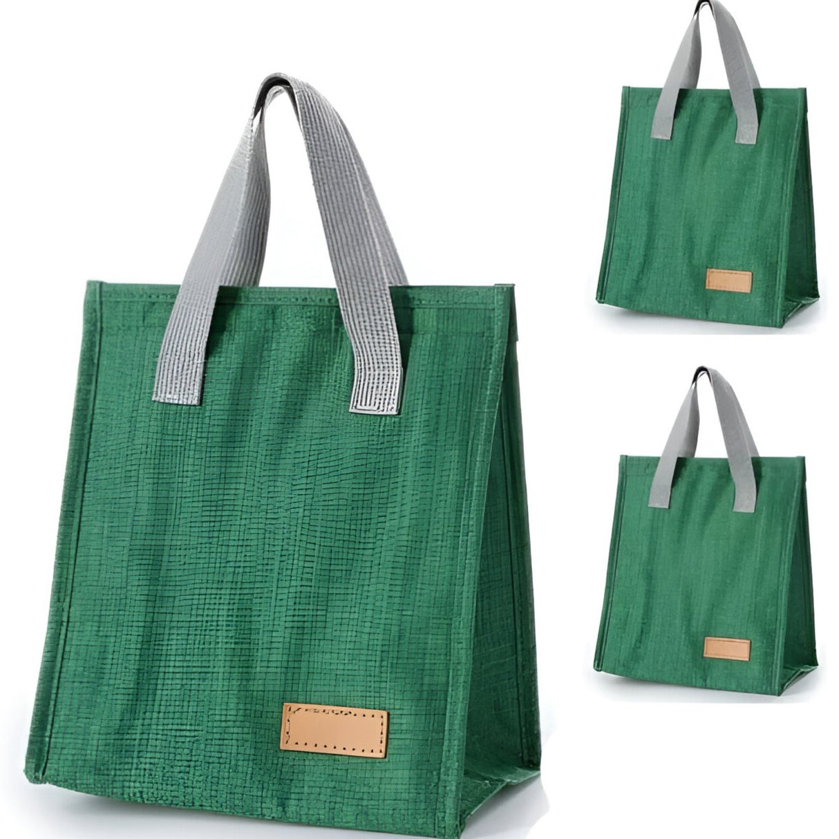 Geanta Termoizolanta Tip Bento Bag Vivimall, Camping Cooler, Aluminiu, 22.5x13x25,5 cm, 3.3 L, Verde - vivimall.ro