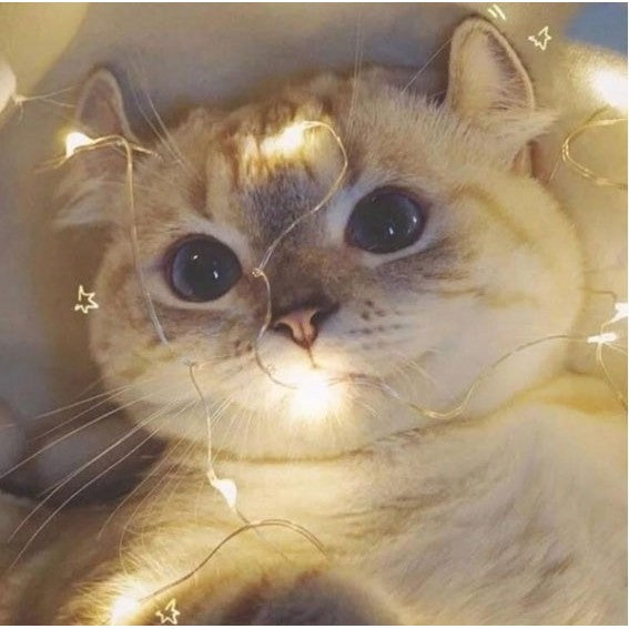 Instalatie Craciun, 15 metri, 150 LED-uri, multicolor RGB, sincronizare muzica, telecomanda 8 functii, USB, fir cupru, liniar, interior/exterior, Vivimall - vivimall.ro