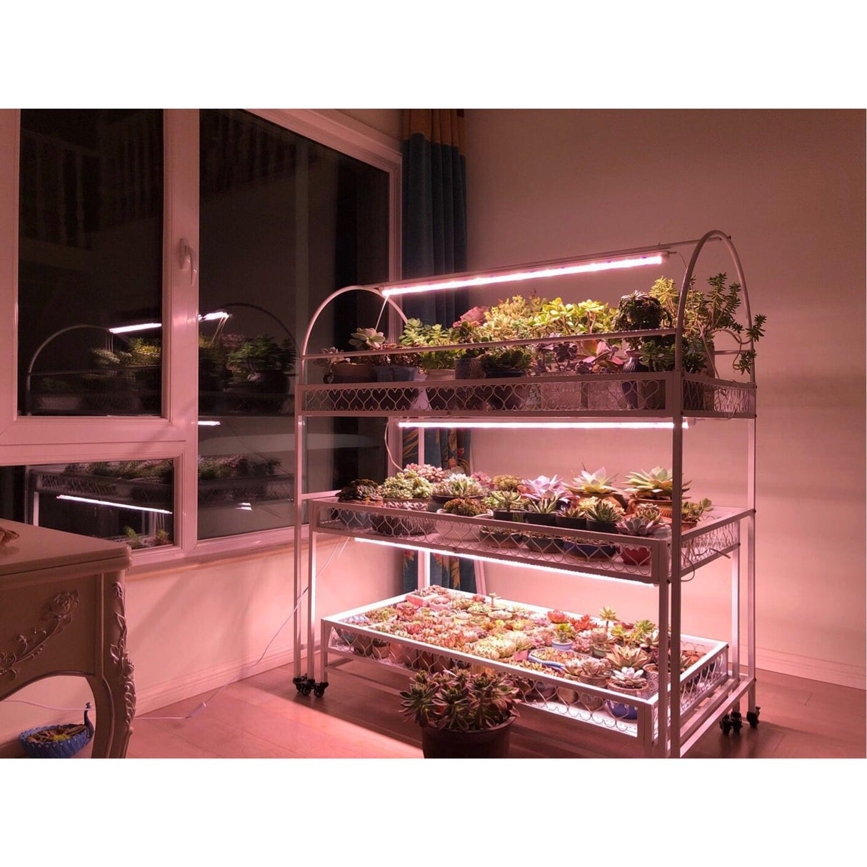 Lampa dubla pentru cresterea plantelor Vivimall, 50 cm, T5, tehnologie LED, nu afecteaza plantele, potrivit pentru intregul ciclu de crestere, lumina alb calda