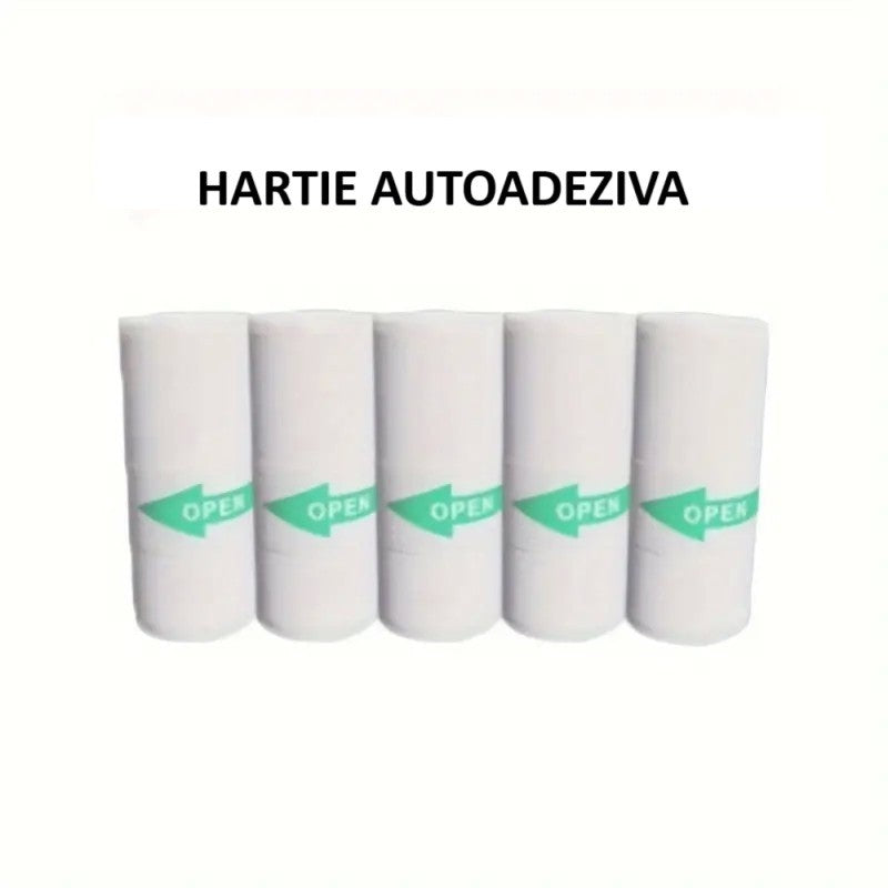 Set Camera Instantanee pentru Copii, Flippy, Ecran HD 2.4'', 24MP, 720P Video, 1200 mAh, cu Functie de Printare Alb-Negru, cablu USB-C, Bluetooth, Compatibil iOS/Android, Imprimare APP, Model Kitty, Albastru - vivimall.ro