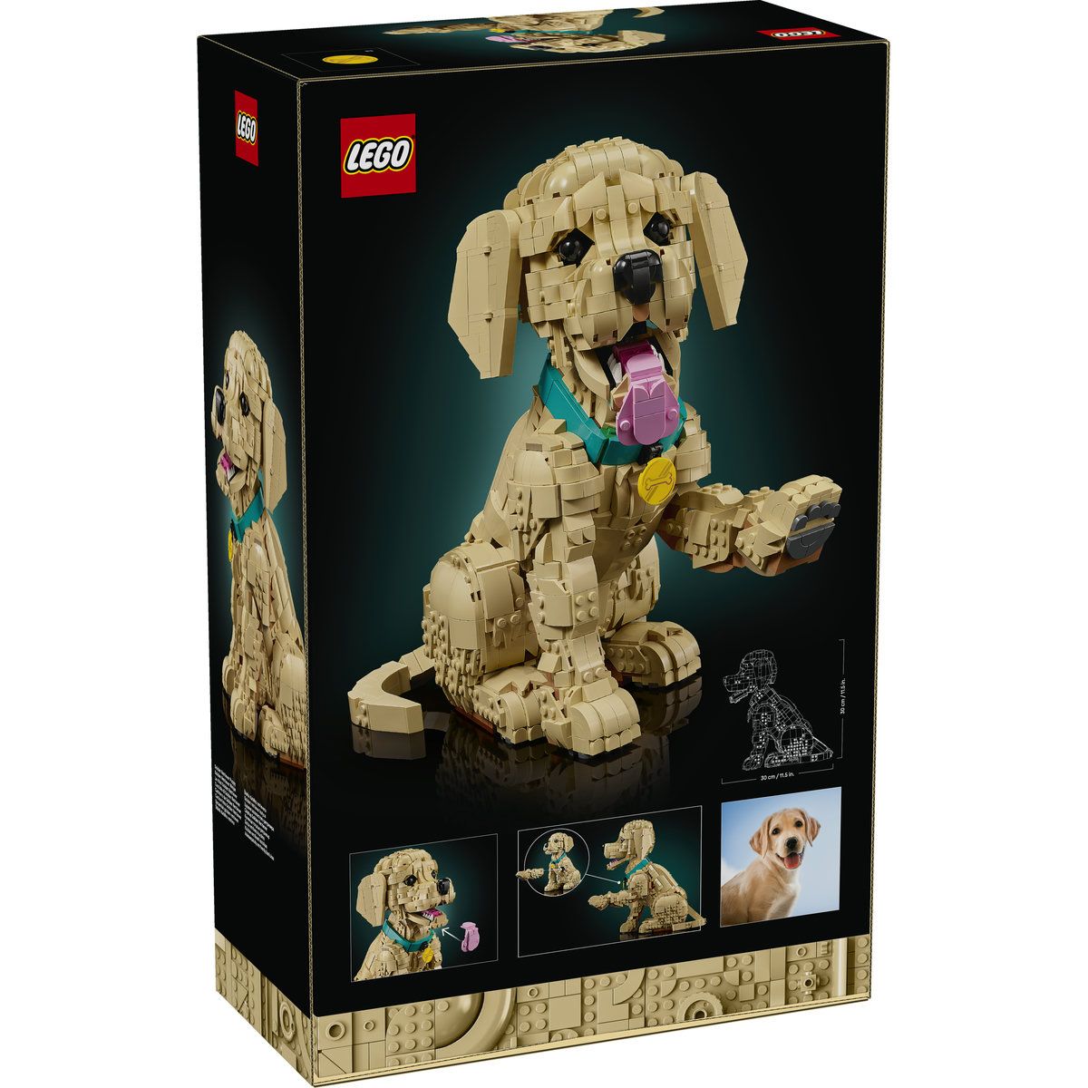 LEGO ICONS CATELUS GOLDEN RETRIEVER 11384
