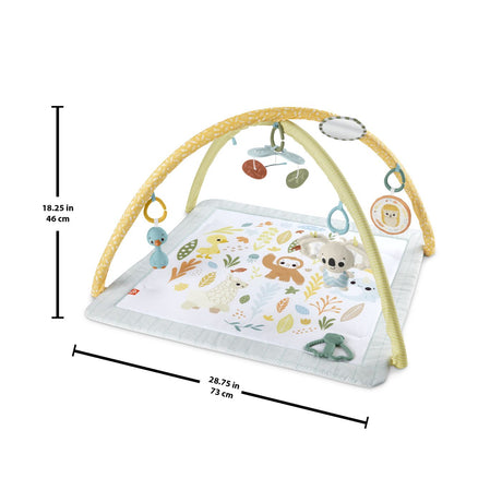 FISHER PRICE SALTELUTA DE GIMNASTICA PENTRU NOU NASCUTI
