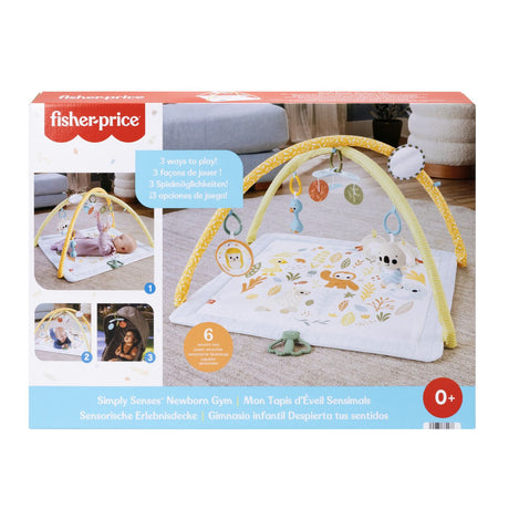 FISHER PRICE SALTELUTA DE GIMNASTICA PENTRU NOU NASCUTI