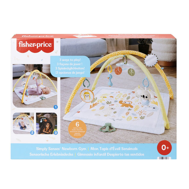 FISHER PRICE SALTELUTA DE GIMNASTICA PENTRU NOU NASCUTI