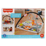 FISHER PRICE SALTEA MUZICALA 3 IN 1 CU CENTRU DE ACTIVITATI