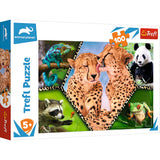PUZZLE TREFL 100 NATURA FRUMOASA