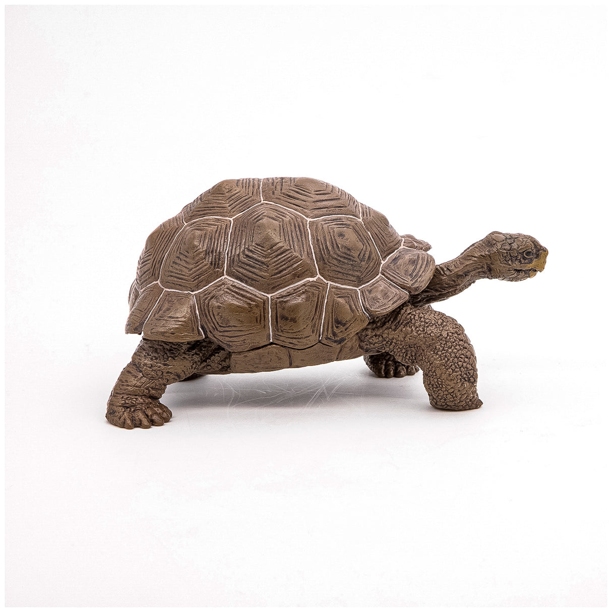 PAPO FIGURINA TESTOASA GALAPAGOS