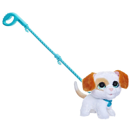 FURREAL CU CATELUL LA PLIMBARE