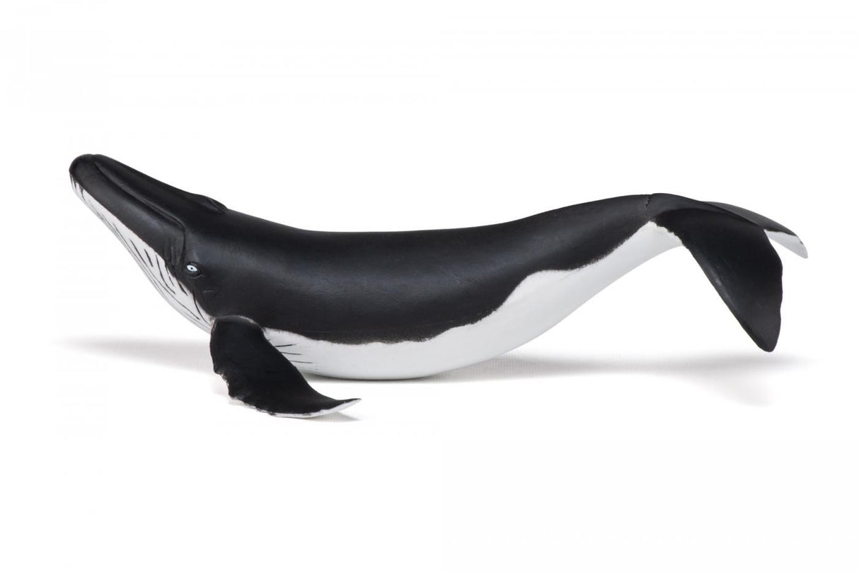PAPO FIGURINA PUI DE BALENA