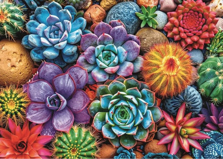 PUZZLE TREFL 1000 SUCULENTE COLORATE CU POSTER INCLUS
