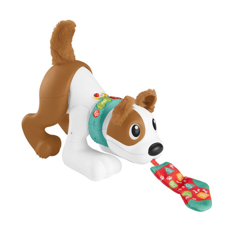 FISHER PRICE CATELUS CRAWL WITH ME