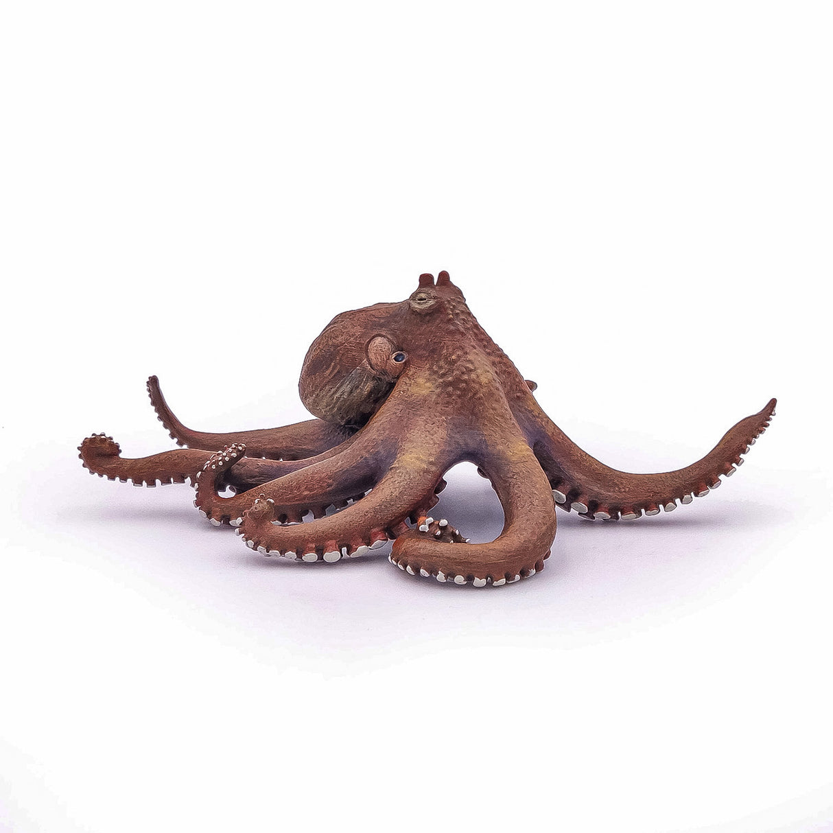 PAPO FIGURINA CARACATITA