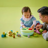 LEGO DUPLO SORTATOR DE FORME CASA PENTRU CATEI 10441