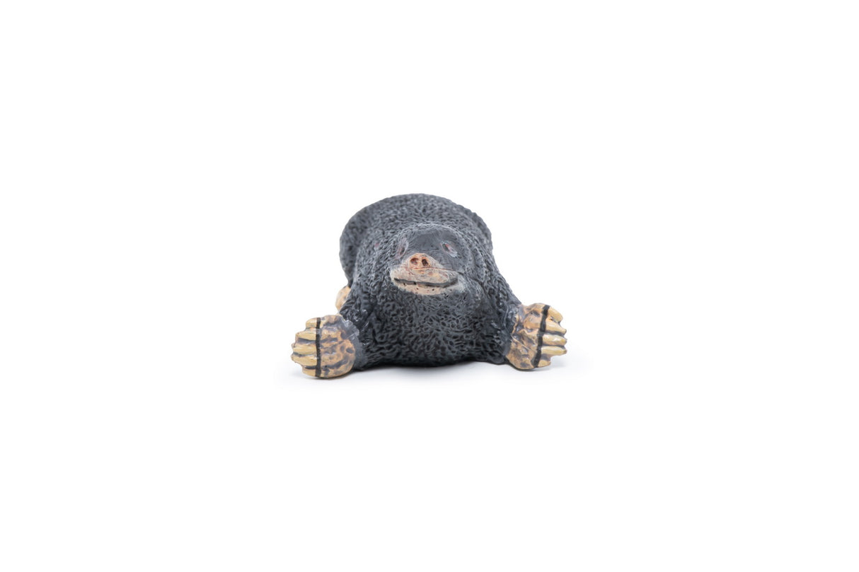 PAPO FIGURINA CARTITA