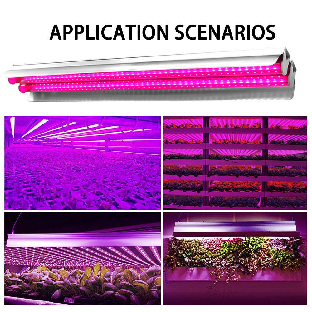 Lampa Pentru Cresterea Plantelor 50 Cm | PlantGlow 2 - vivimall.ro