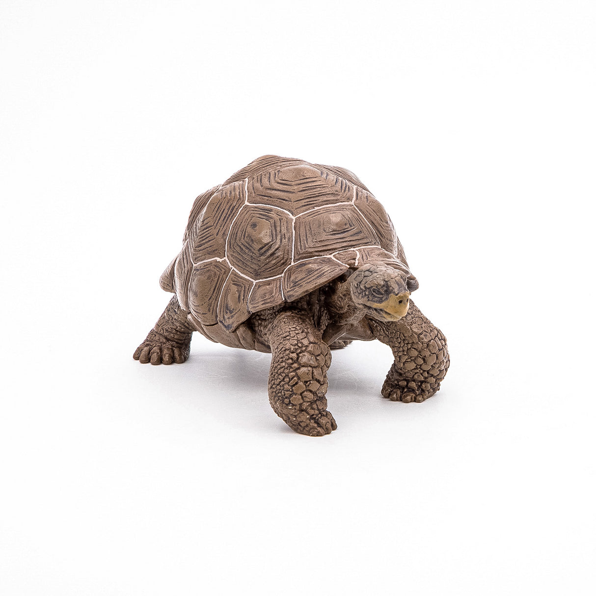 PAPO FIGURINA TESTOASA GALAPAGOS