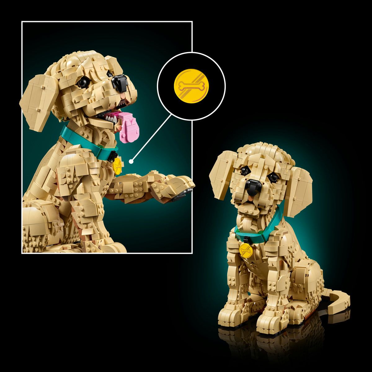 LEGO ICONS CATELUS GOLDEN RETRIEVER 11384