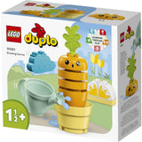 LEGO DUPLO MORCOV CARE CRESTE 10981