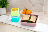 RECIPIENT SILICON PENTRU SANDWICH, MELII, PINK