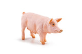 PAPO FIGURINA SCROAFA