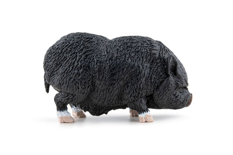 PAPO FIGURINA PORC VIETNAMEZ