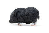 PAPO FIGURINA PORC VIETNAMEZ