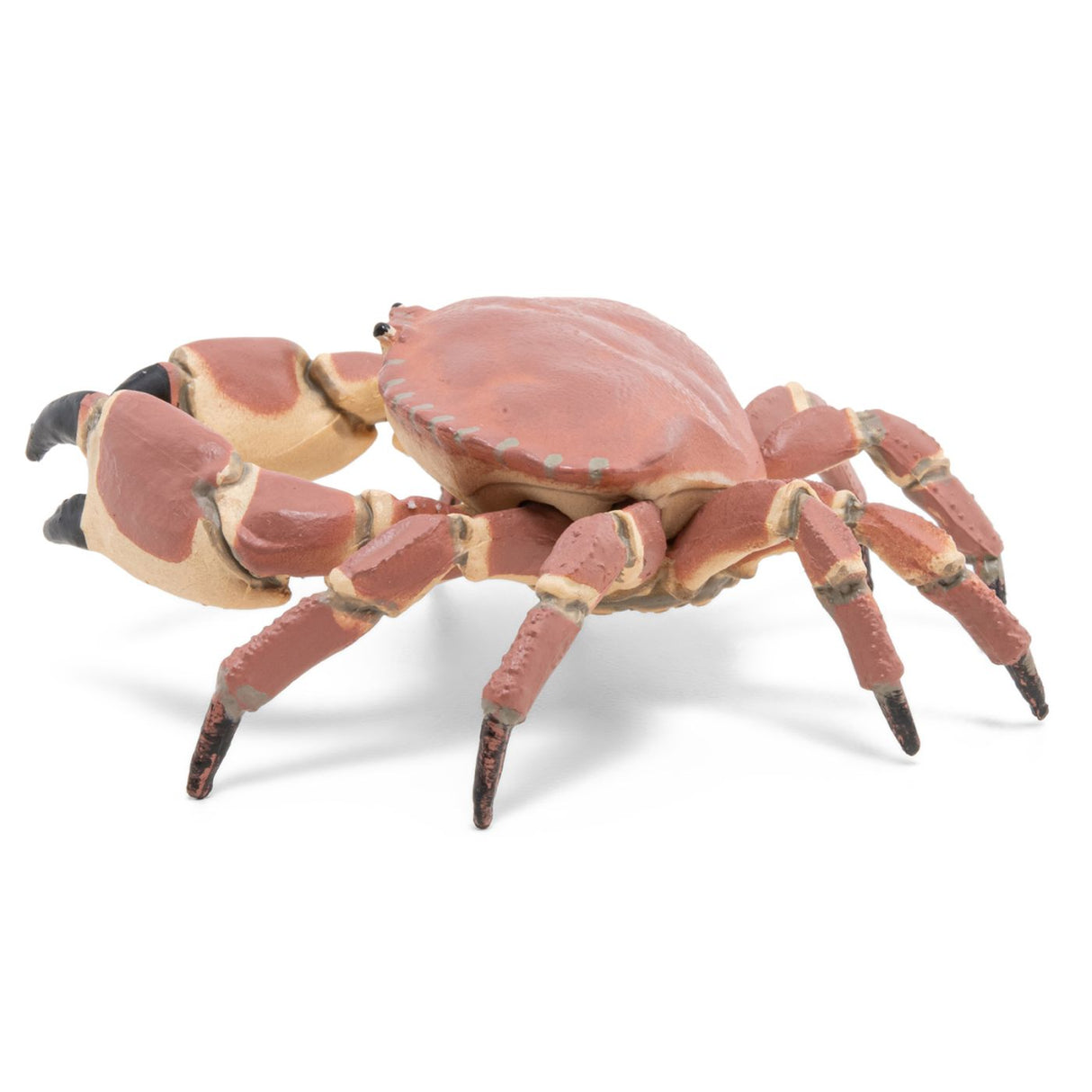 PAPO FIGURINA CRAB