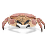 PAPO FIGURINA CRAB