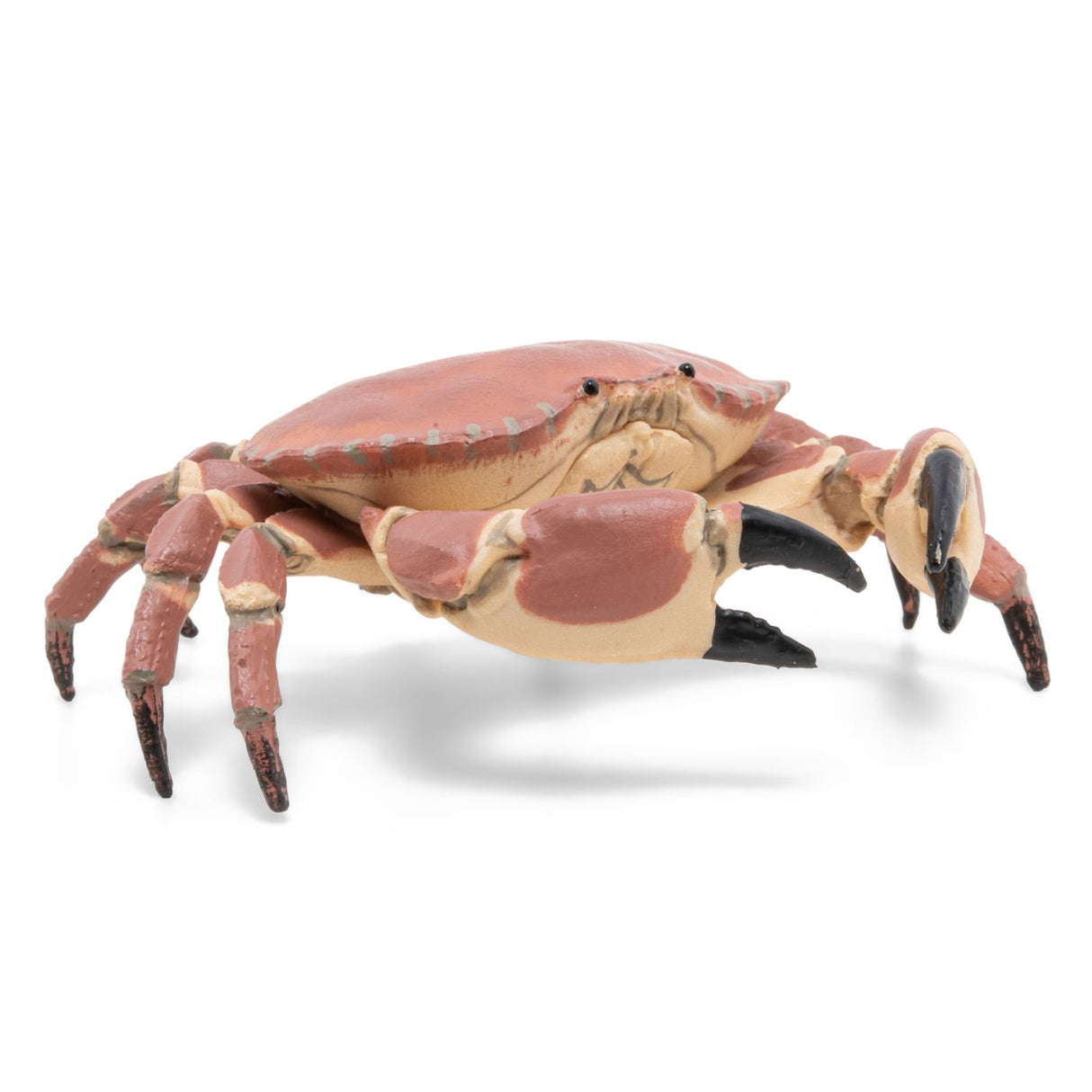 PAPO FIGURINA CRAB