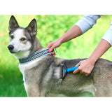 Pieptene pentru Părul de Animale, Vivimall, Dispozitiv de Îngrijire cu Două Fețe, Îndepărtarea părului, Albastru - vivimall.ro