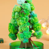 Brad Copac de Hartie Infloritor pe Apa, Flippy, Jucarie Brad Magic Infloritor de Craciun, Crestere Lenta in 8-24 h, Decoratiune de Craciun, 16.5 x 9.5 x 9.5 cm, Verde - vivimall.ro