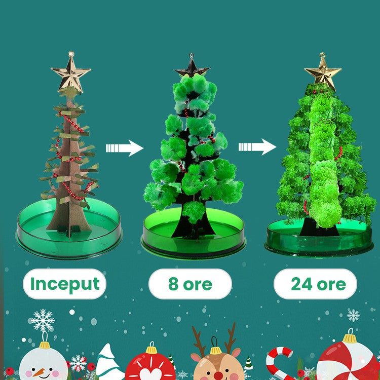 Brad Copac de Hartie Infloritor pe Apa, Flippy, Jucarie Brad Magic Infloritor de Craciun, Crestere Lenta in 8-24 h, Decoratiune de Craciun, 16.5 x 9.5 x 9.5 cm, Verde - vivimall.ro