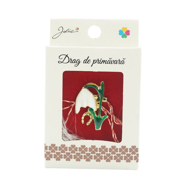 Brosa Mica in Cutie Ghiocel cu Potcoava - vivimall.ro