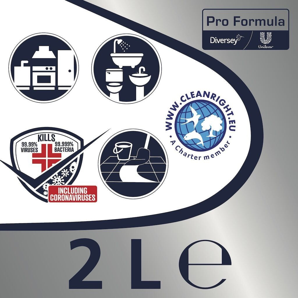 Domestos Professional Pine Fresh – Detergent Lichid Dezinfectant, 2 L - vivimall.ro