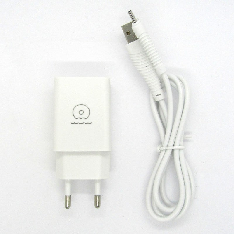 Conținut pachet Flipyy T18: adaptor priză EU și cablu Type-C 1 metru, culoare albă