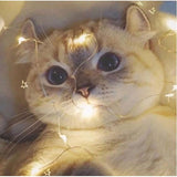 Instalatie Craciun, 15 metri, 150 LED-uri, multicolor RGB, sincronizare muzica, telecomanda 8 functii, USB, fir cupru, liniar, interior/exterior, Vivimall - vivimall.ro