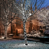 Instalatie Craciun Profesionala de Exterior IP65, 297 m, 2970 Led-uri Mari ,Liniara, Alb rece, Interconectabila, Prelungitor 1.5 m inclus, Fir Negru, Vivimall - vivimall.ro