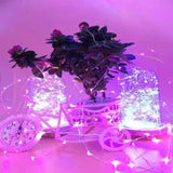 Instalatie de Craciun cu Baterii Fir Cupru Tip Sir 5 m 50 LED -uri Roz - vivimall.ro