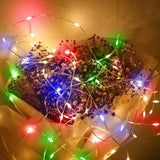 Instalatie de Craciun Vivimall, liniara, cu 200 micro LED-uri, 20 m, 220V, conectare la retea, cu 8 jocuri de lumini, interior/exterior, fir transparent, 3 fire cupru, multicolora - vivimall.ro