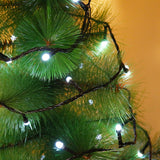 Instalatie de Craciun Flippy® Tip Liniara, Fir Negru, 9 m, 100 LED-uri Mari Rotunde, Interconectabila, Alb Rece - vivimall.ro