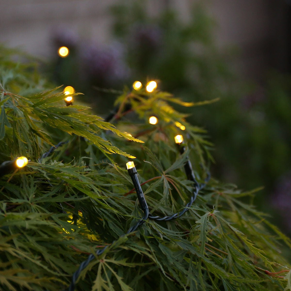 Instalatie de Craciun liniara Yoto, 17 m, din care 1 m cablu priza 220V, 200 LED, 8 jocuri de lumini, controler, fir negru, alb cald - vivimall.ro