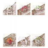 Jucarie Antistres Squishy, Vivimall, cu Revenire Lenta, Model Cat Paw, Squeeze Pinch Family, 6.5 x 7 cm, din Tpr, 4-6 Ani, Model 3 Legume, Transparent - vivimall.ro